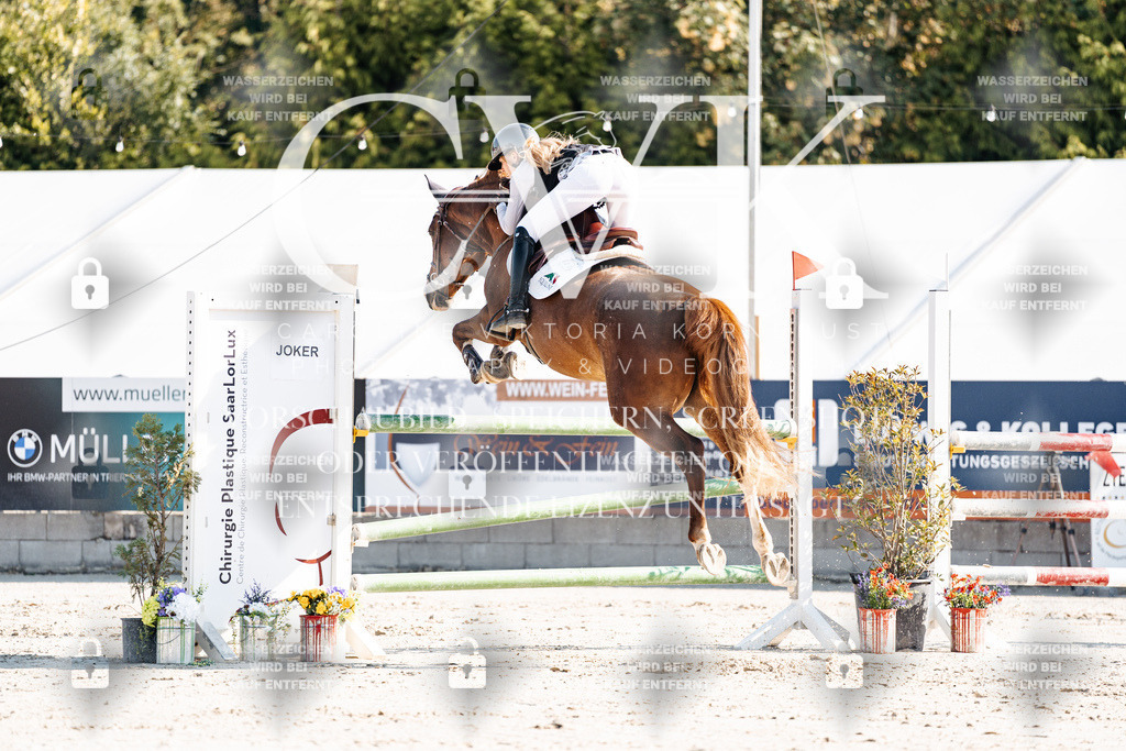 CK901893 | Turnierfotografie Pferdefotografie Trier Rheinland-Pfalz Pferdesport Reitsport Tierfotografie Sportfotografie Pferdevideo Pferdevideografie Equestrianvideography equestrianphotography  - Realisiert mit Pictrs.com