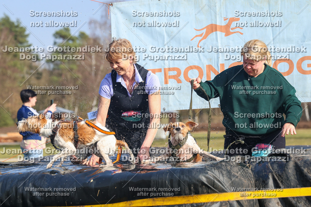 Dog Paparazzi - Strongdog North Mrz26-3102 | Dog Paparazzi Jeanette Grottendiek Fotografie & Videografie - Realisiert mit Pictrs.com