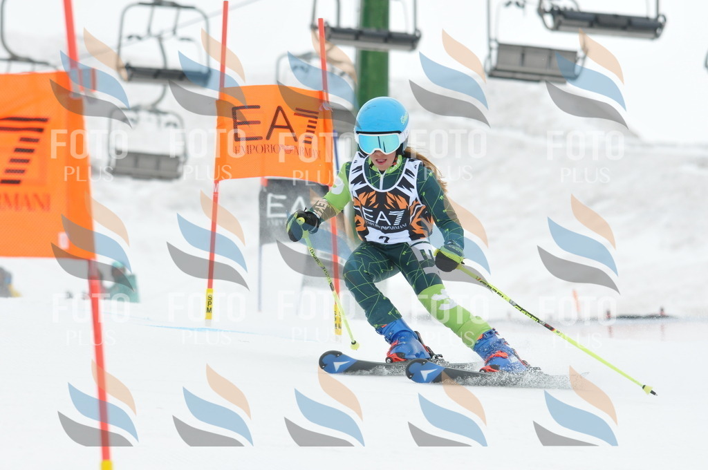 DSC_8768 | holidayphoto