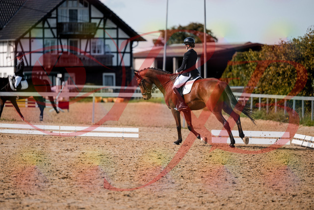 2026_10_03_Siefer-Hof_131042_Z63_73789634 | Professionelle Reitsport-, Turnier- und Eventfotografie von Robert Broda. Galerien mit ausgewählten und bearbeiteten Bildern direkt online ansehen und bestellen.