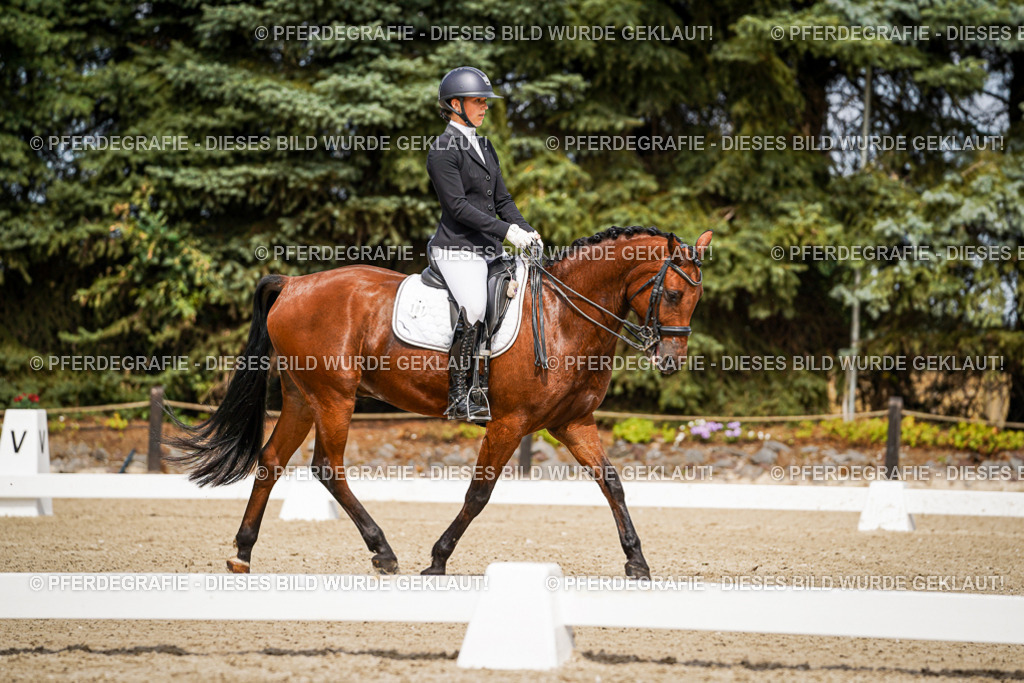 DSC04980 | Pferdegrafie