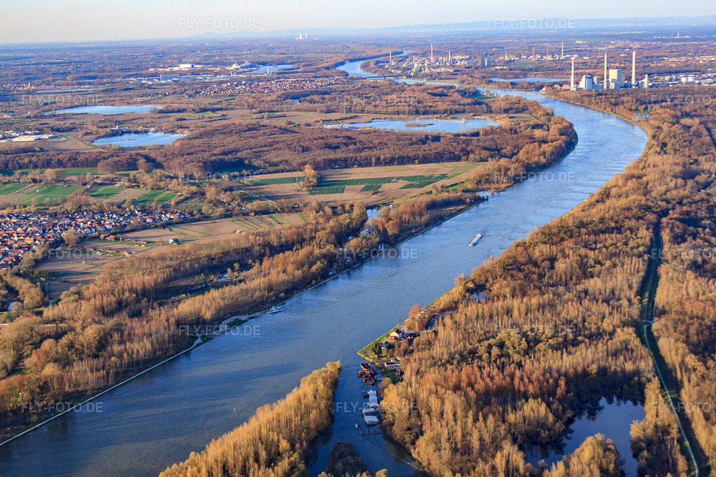 Luftbild: Mündung des Auer Altrheins in den Rhein in Au am Rhein im Bundesland Baden-Württemberg in Deutschland. Foto: IMG_56500.jpg vom 14.04.2013 durch Werner Riehm/FLY-FOTO.de
