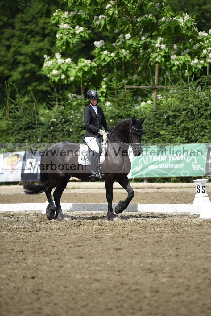 DSC_0789 | equestrian-live-com