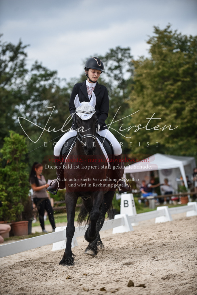 DSC_8612 | Pferde- und Turnierfotografie in Westsachsen. Pferdeportraits, Auftragszeichnungen und intuitive Kunst.