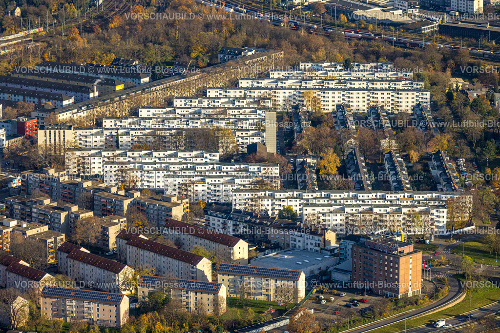 Koeln231104498 | Luftbild, Reihenhaus-Wohnsiedlung Stadtviertel Veedel Buchforst, umgeben von herbstlichen Laubbäumen, Buchforst, Köln, Rheinland, Nordrhein-Westfalen, Deutschland
