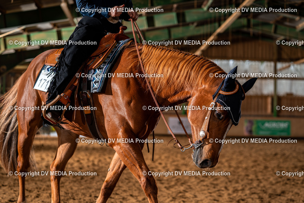 Balingen Tag 4-748 | dv-media-shop - Realisiert mit Pictrs.com