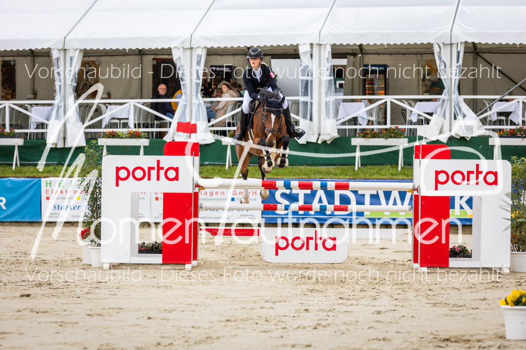 BHO-2PhSpr-M-5-2219 | MomenTaufnahmen Pferdesportfotos