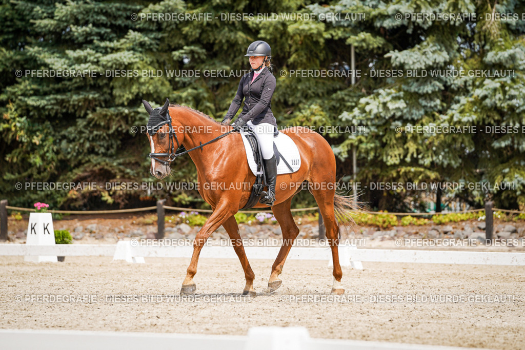 DSC03887 | Pferdegrafie