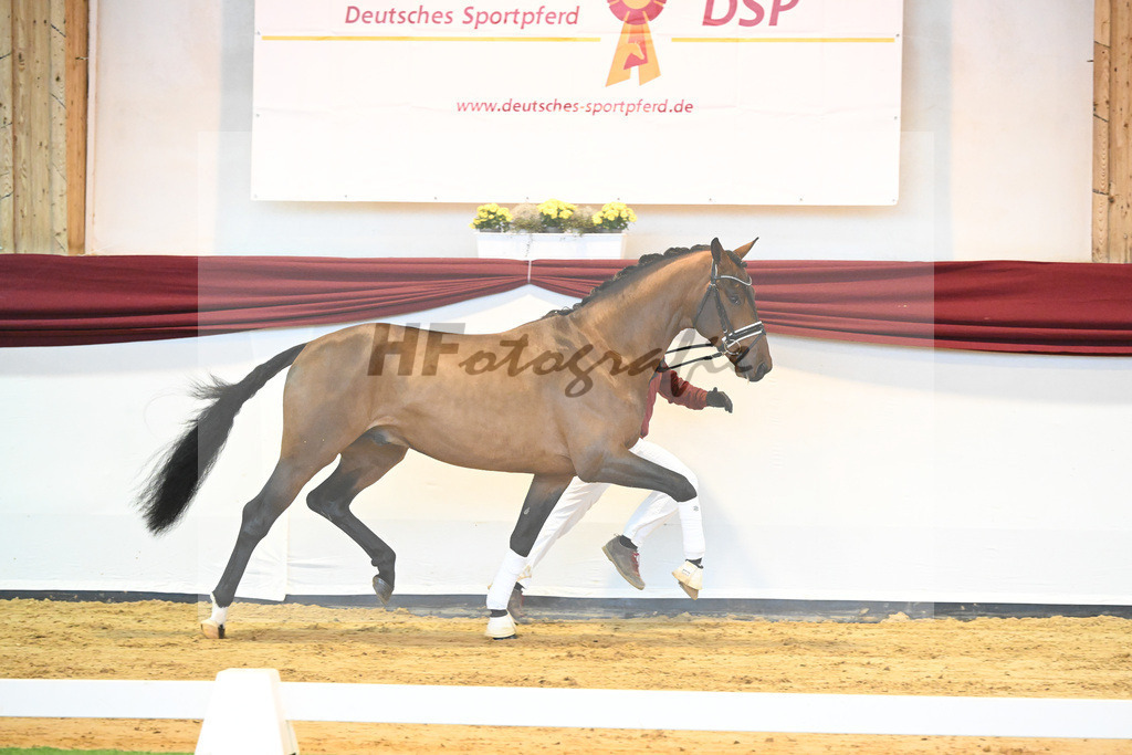 Kat-Nr. 64 v. Vitalis_Bock_66222159 | hf-fotografie - Realisiert mit Pictrs.com