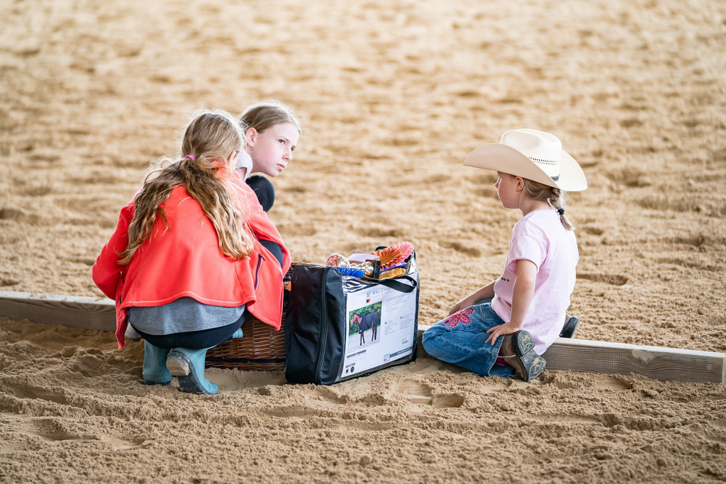 DSC09221 | Pferdegrafie