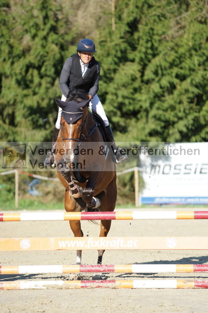 DSC09465 | equestrian-live-com