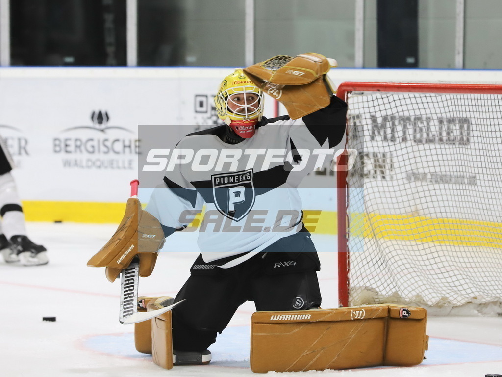 David Madlener - Pioneers | David Madlener - Pioneers - Realisiert mit Pictrs.com