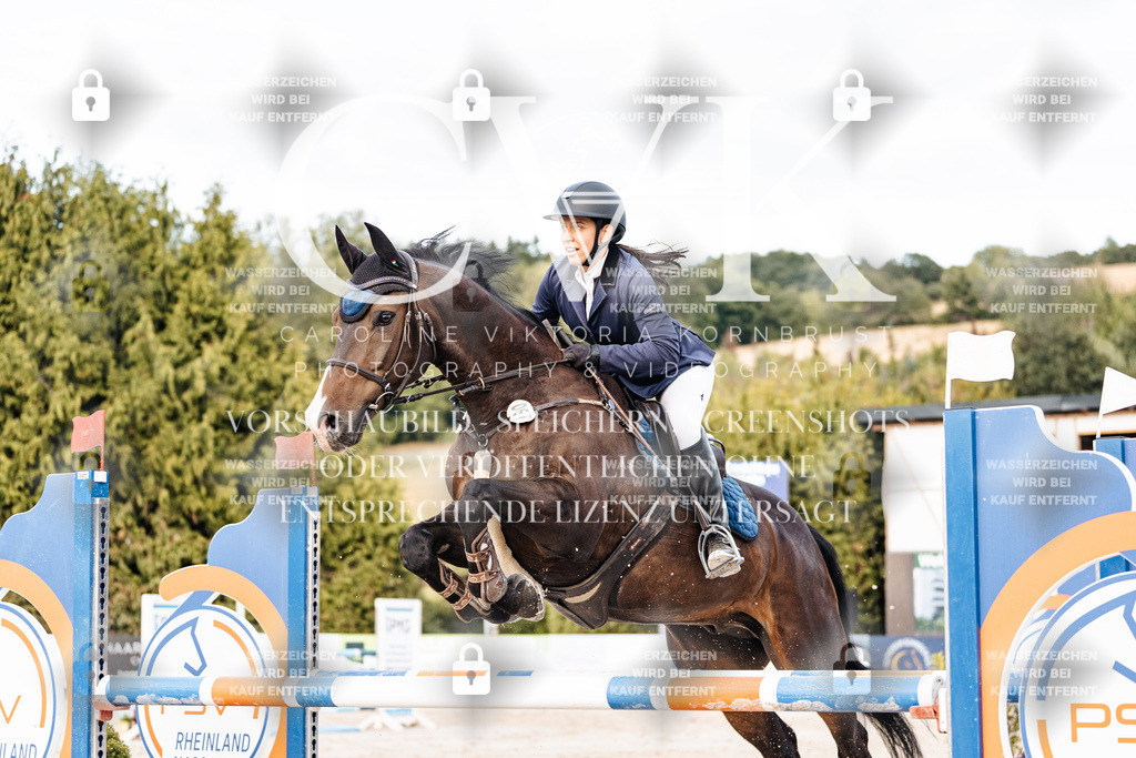 CK903808 | Turnierfotografie Pferdefotografie Trier Rheinland-Pfalz Pferdesport Reitsport Tierfotografie Sportfotografie Pferdevideo Pferdevideografie Equestrianvideography equestrianphotography  - Realisiert mit Pictrs.com