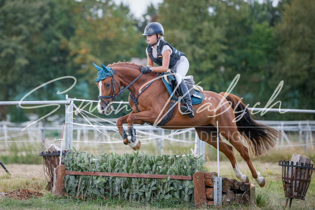 20250905-_3LI1941 | Tierfotografie Pferde, Hunde, Katzen, Haustiere.
Turnierfotografie Reitturniere, Reiten, Springreiten, Dressur in Hanau, dem Main-Kinzig-Kreis und dem Rhein-Main- Gebiet um Frankfurt