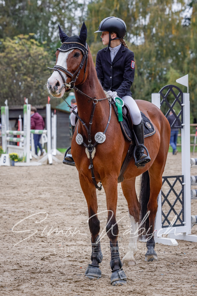 20251012-_3LI4217 | Tierfotografie Pferde, Hunde, Katzen, Haustiere.
Turnierfotografie Reitturniere, Reiten, Springreiten, Dressur in Hanau, dem Main-Kinzig-Kreis und dem Rhein-Main- Gebiet um Frankfurt