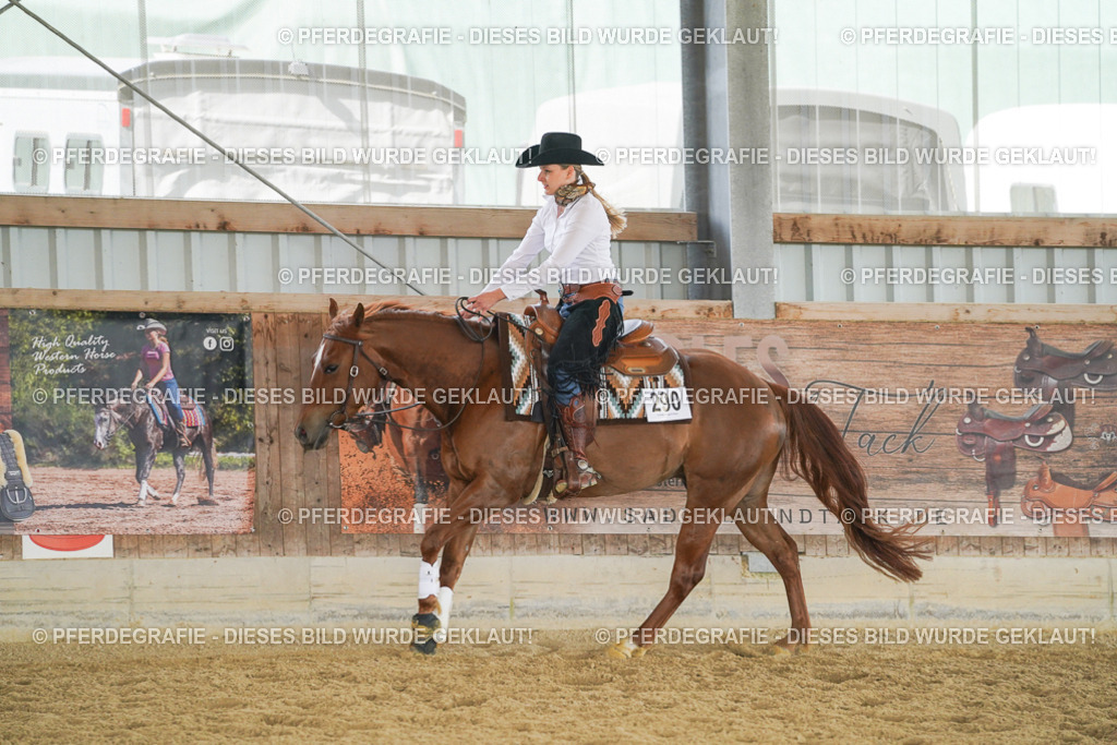 DSC06044 | Pferdegrafie