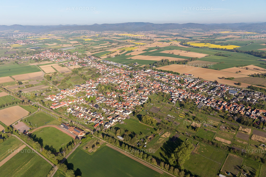 Luftbild: landwirtschaftlichen Feldern und Nutzflächen in Steinfeld im Bundesland Rheinland-Pfalz in Deutschland. Foto: IMG_099269.jpg vom 30.04.2017 durch Werner Riehm/FLY-FOTO.de