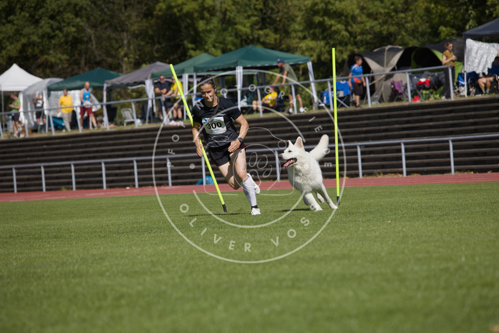 0L8A7203 | Hundefotografie, Tierfotograf, Pfotenfotografie, Fotoshooting Hund, Hunde Portrait, Hundesport, Hundeportraits, Heideshooting, Hunde, Sportfotograf, Hundefotograf, Turnierhundsport, THS,  - Realisiert mit Pictrs.com