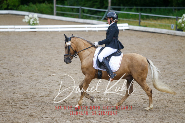 DKP47061 | Turniersportfotografie; Pferdefotografie; Dressurfotografie