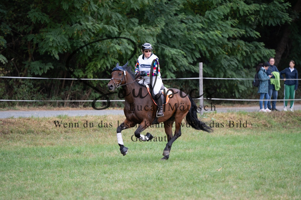 A7V00648 | Pferdefotograf