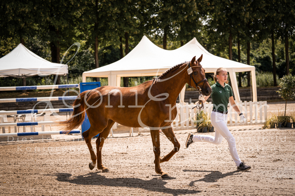 1.Fr00040 | Leoni Ertmer Photography - Realisiert mit Pictrs.com