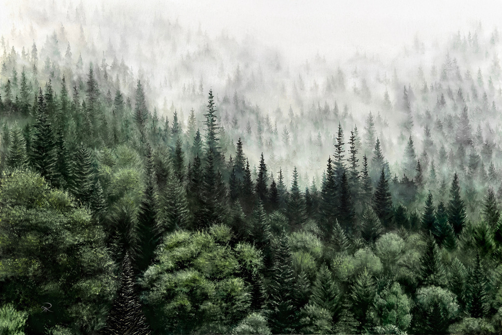 Stille des Waldes / Silence of the Forest | Dieses Bild ist mein absolutes Lieblingswerk, da es meine tiefe Liebe zum Wald zeigt. Beim Malen konnte ich die Ruhe und das Grün des Waldes spüren und den Vögeln lauschen. Ich bin oft im Wald und liebe es, innezuhalten, die Natur zu geniessen und mich inspirieren zu lassen. 
