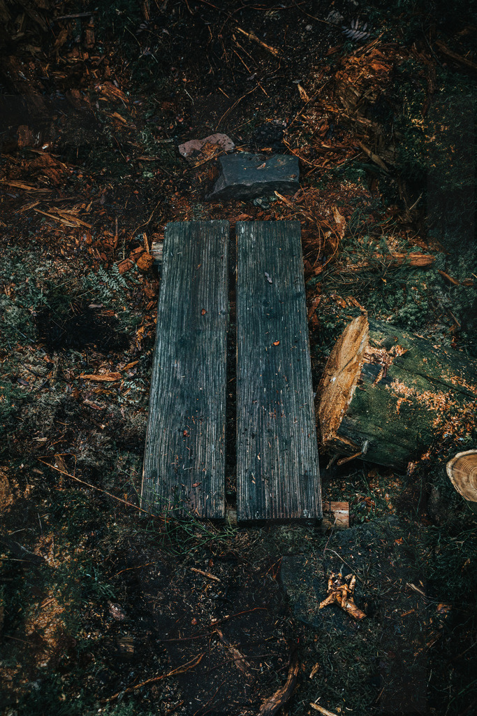 Ba-Wue | FI-LO Bildershop – Entdecken Sie beeindruckende Fotografie und inspirierende Videoproduktionen. Tauchen Sie ein in faszinierende Welten und lassen Sie sich von meinen einzigartigen Werken auf eine emotionale Reise mitnehmen. Perfekt für Kunstliebhaber und - Realisiert mit Pictrs.com