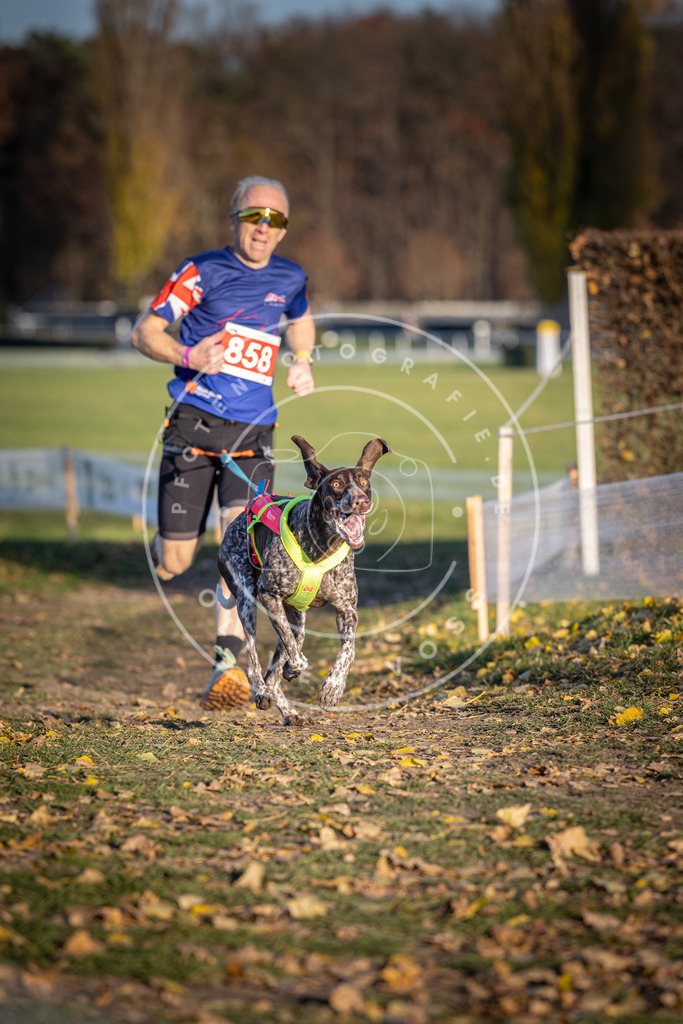 CaniXpix_DV3A4010 | Hundefotografie, Tierfotograf, Pfotenfotografie, Fotoshooting Hund, Hunde Portrait, Hundesport, Hundeportraits, Heideshooting, Hunde, Sportfotograf, Hundefotograf, Turnierhundsport, THS,  - Realisiert mit Pictrs.com