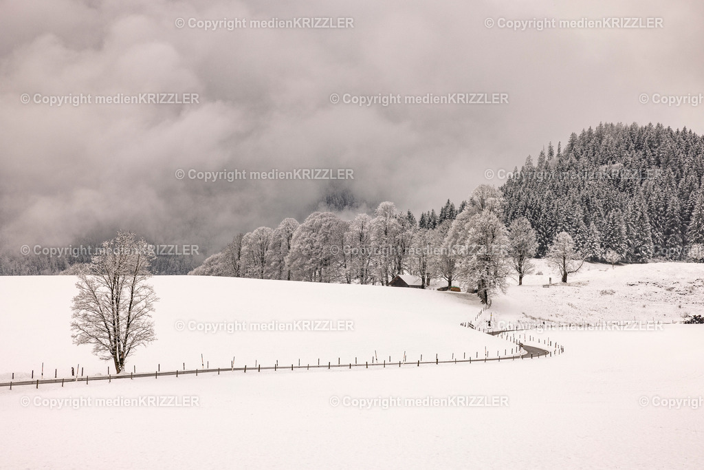 _J3A9934 | medienkrizzler - Realisiert mit Pictrs.com