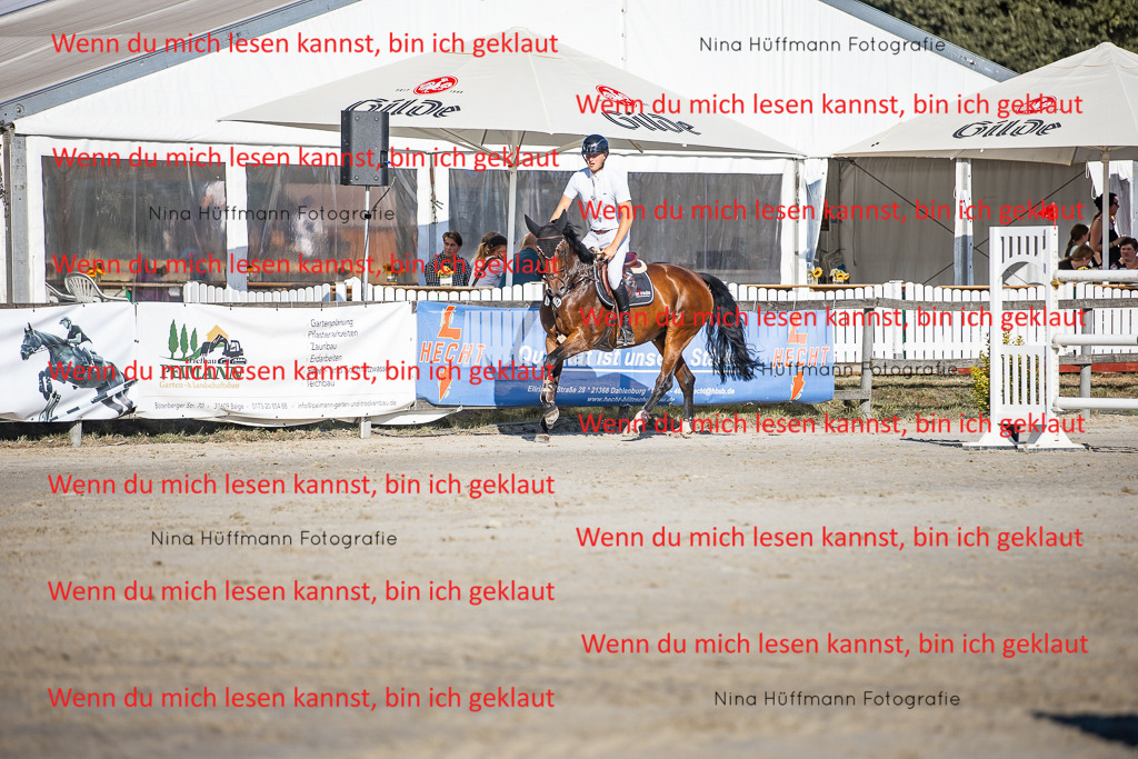 BK1A8616 | Turnierbilder Turnierfotos Nina Hüffmann Turnierfotografie Pferdefotografie Tierzeichnung Haustierzeichnung Pferdezeichnung Hundezeichnung Videograf  - Realisiert mit Pictrs.com