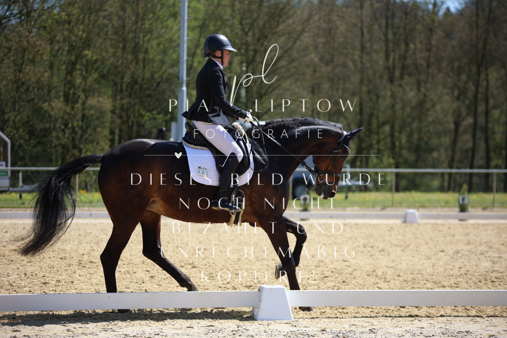 IMGT7472 | pl-fotografie