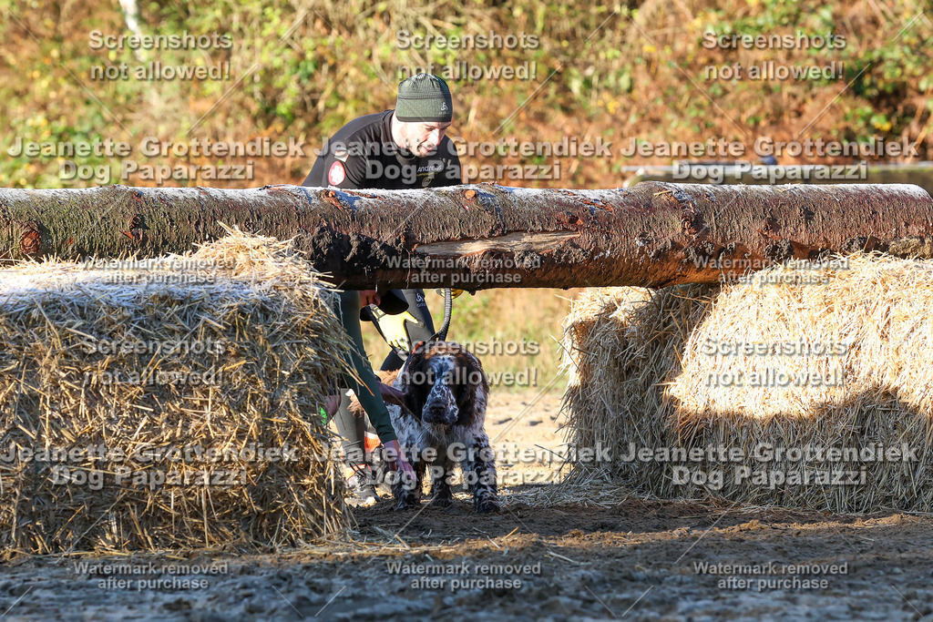 Dog Paparazzi - Strongdog 10-25-741 | Dog Paparazzi Jeanette Grottendiek Fotografie & Videografie - Realisiert mit Pictrs.com