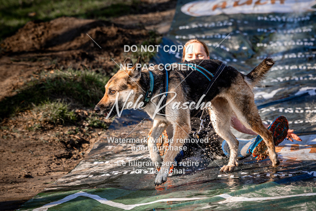 nelerasche_CCNL26_So0800-0945_55 | nelerasche