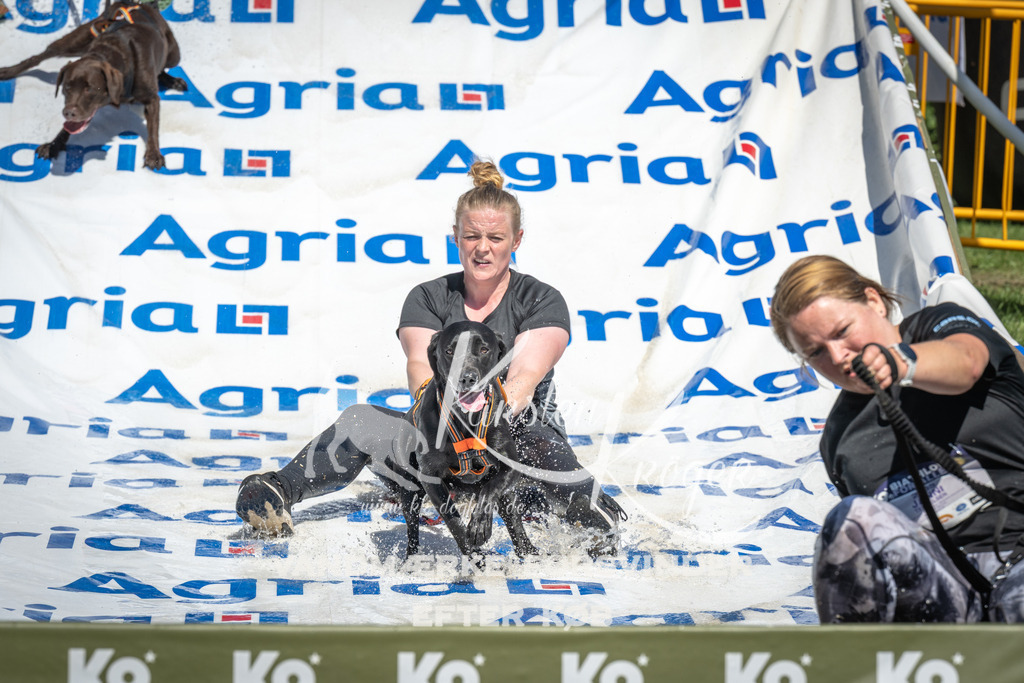 1414_ZZ93029 | kk-dogfotos