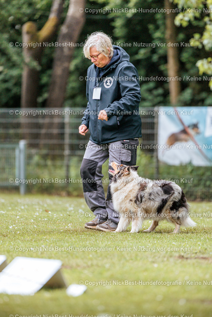 RO-Blumenthal-2026-Nickbest-Hundefotografie-2917 | Dein Hund! Dein Moment! Deine Erinnerungen! Hundefotografie in Bremen Blumenthal. Ich fange die besonderen Momente deines Vierbeiners ein – ob Indoor mit Blitzanlage oder in der freien Natur. Sicher dir dein Moment und dein Termin für eure Erinnerungen.