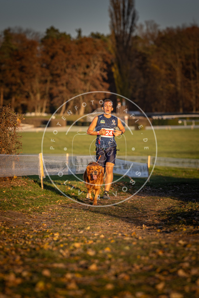 CaniXpix_DV3A4979 | Hundefotografie, Tierfotograf, Pfotenfotografie, Fotoshooting Hund, Hunde Portrait, Hundesport, Hundeportraits, Heideshooting, Hunde, Sportfotograf, Hundefotograf, Turnierhundsport, THS,  - Realisiert mit Pictrs.com