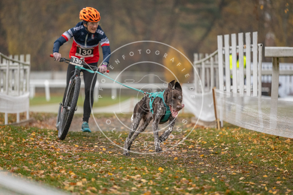 CaniXpix_DV3A7389 | Hundefotografie, Tierfotograf, Pfotenfotografie, Fotoshooting Hund, Hunde Portrait, Hundesport, Hundeportraits, Heideshooting, Hunde, Sportfotograf, Hundefotograf, Turnierhundsport, THS,  - Realisiert mit Pictrs.com