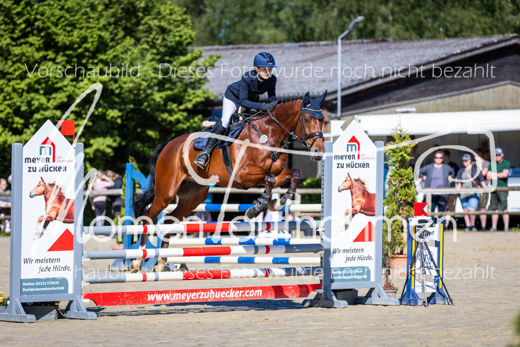 Donop24-A2Spr-036 | MomenTaufnahmen Pferdesportfotos