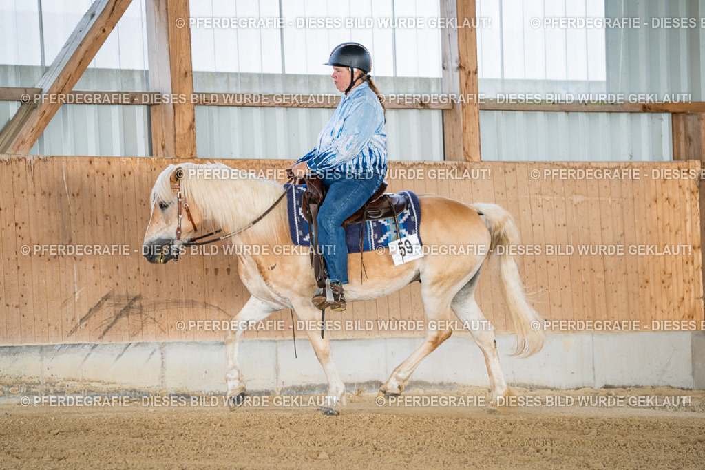 DSC07981 | Pferdegrafie