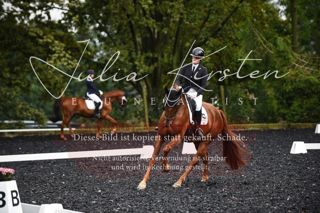 DSC_2891 | Pferde- und Turnierfotografie in Westsachsen. Pferdeportraits, Auftragszeichnungen und intuitive Kunst.