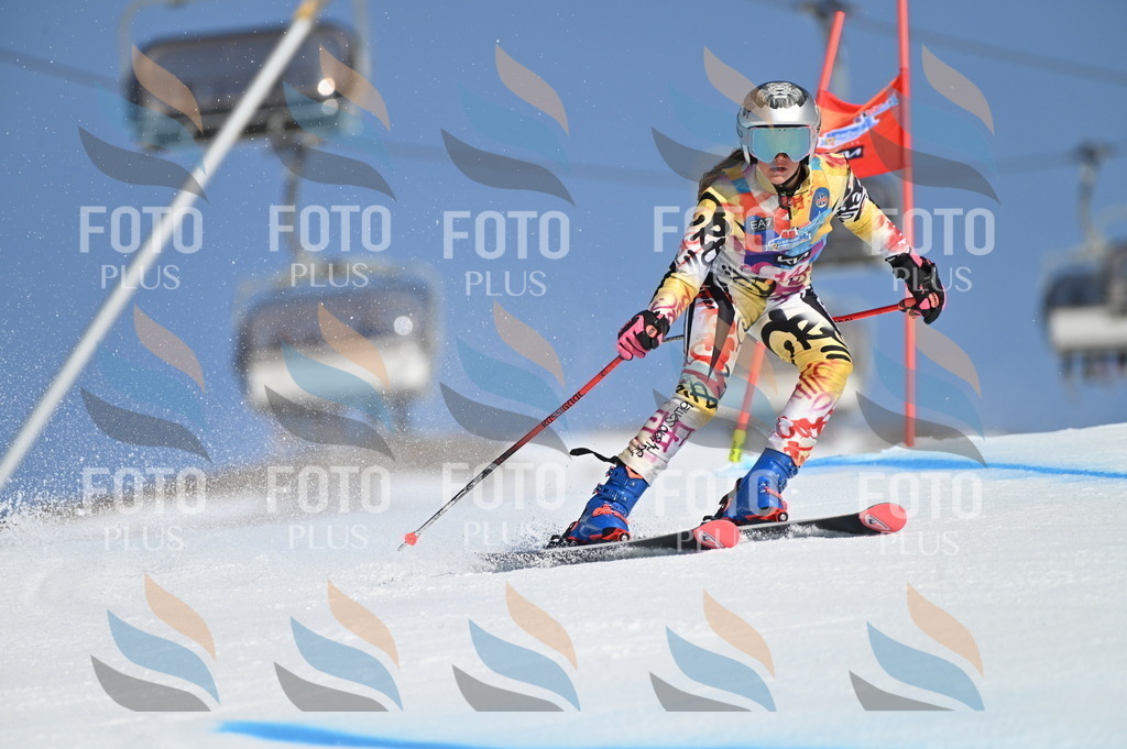 BGV_7833 | holidayphoto