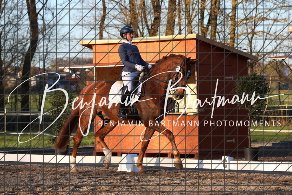 AZ2A7186 | Benjamin Bartmann Photomoments