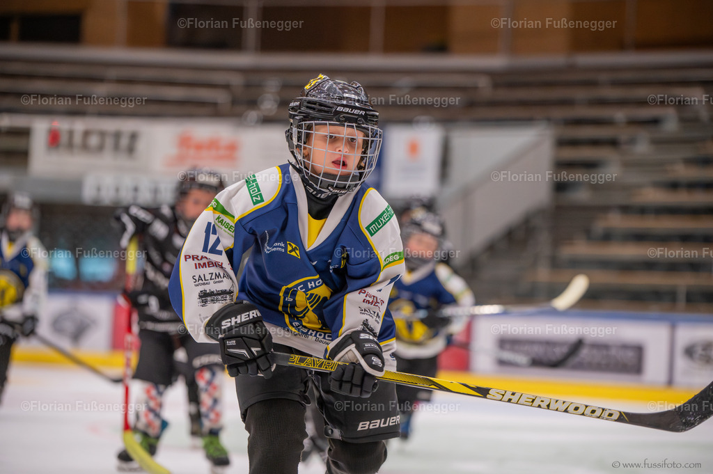 DSC_0499 | "Fussifoto.com – Ihr Ansprechpartner für hochwertige Fotografie! Entdecken Sie kreative Bilder und professionelle Dienstleistungen. Kontaktieren Sie uns für Ihre Projekte!"