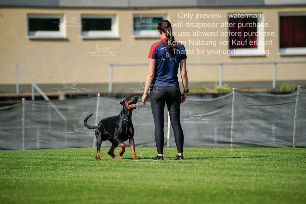 Samstag_Gehorsam (59 von 192) | stephaniefillaphotographie - Realisiert mit Pictrs.com