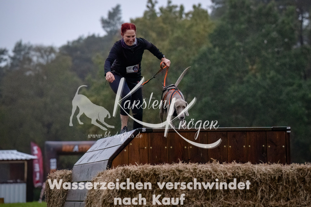 0810-_ZZ90574-Bearbeitet-Bearbeitet | kk-dogfotos