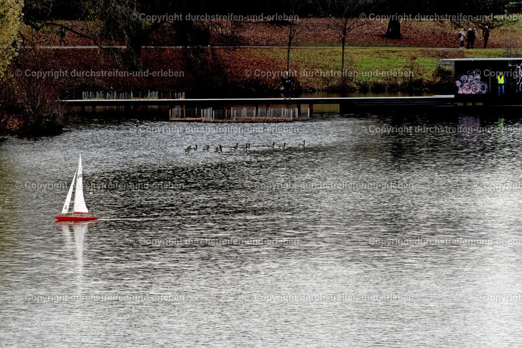 Aasee Segelboote beim RC Yachting mit Kanadagänsen vorm Jorge-Pardo-Pier | Aasee Segelboote beim RC Yachting mit Kanadagänsen vorm Jorge-Pardo-Pier - Realisiert mit Pictrs.com