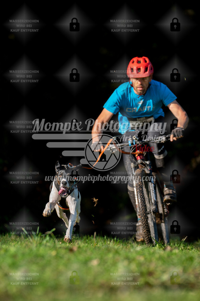 TSB_2023_E7_Bike-2 | PayLife
