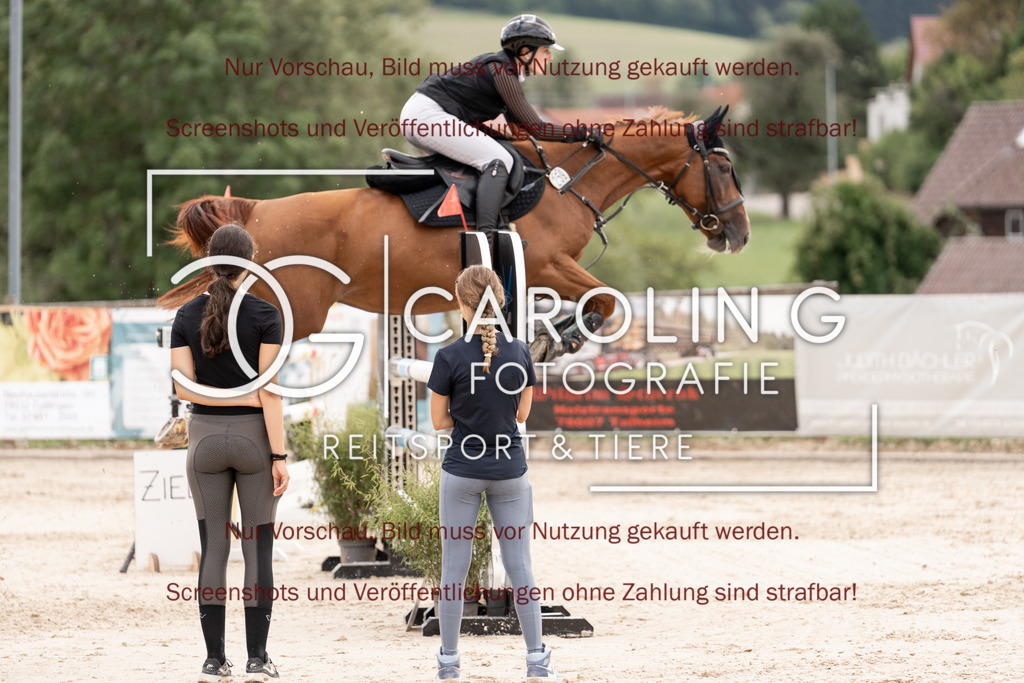 DSC06746 | Springturnier_Teamchallege_Talheim_2026, Lara-Sophie_Strom, Nectarine_V.D.Wart