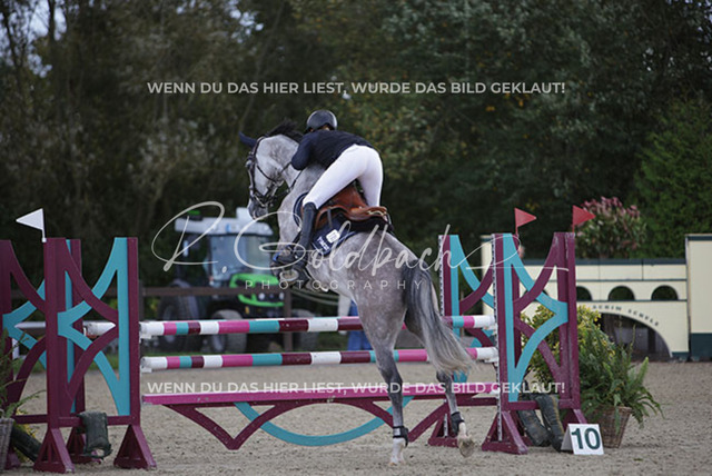 1J2A5154Pheline Ahlmann_ Mirella 26_ Kn735_ Havekost | Foto- und Videografie für alles rund ums Pferd. Hochwertige Bilder und Videos vom Spring- und Dressurreiten, Voltigieren & mehr. Jetzt aktuelle Veranstaltungen und Preise im Shop ansehen. - Realisiert mit Pictrs.com