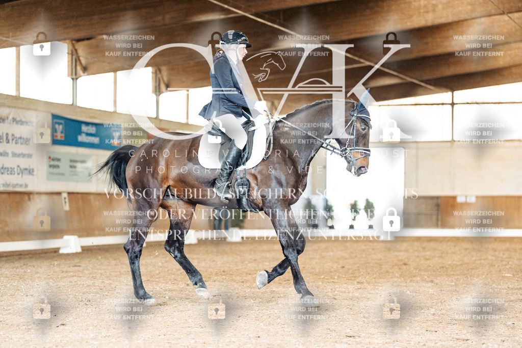 CK901381 | Turnierfotografie Pferdefotografie Trier Rheinland-Pfalz Pferdesport Reitsport Tierfotografie Sportfotografie Pferdevideo Pferdevideografie Equestrianvideography equestrianphotography  - Realisiert mit Pictrs.com